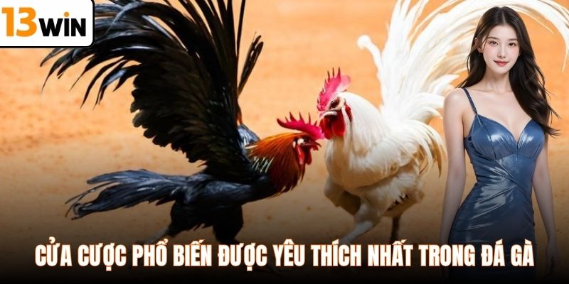 Cửa cược phổ biến được yêu thích nhất trong đá gà