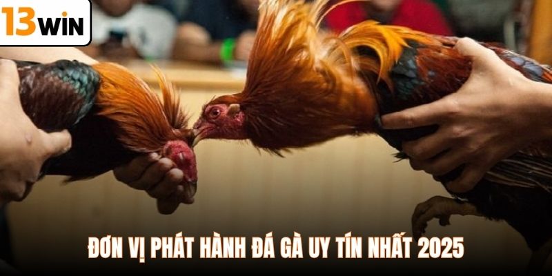 Đơn vị phát hành đá gà uy tín nhất 2025