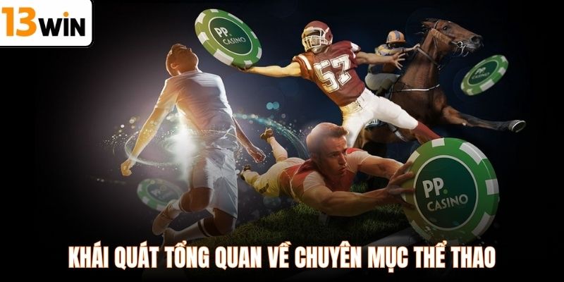 Khái quát tổng quan về chuyên mục thể thao